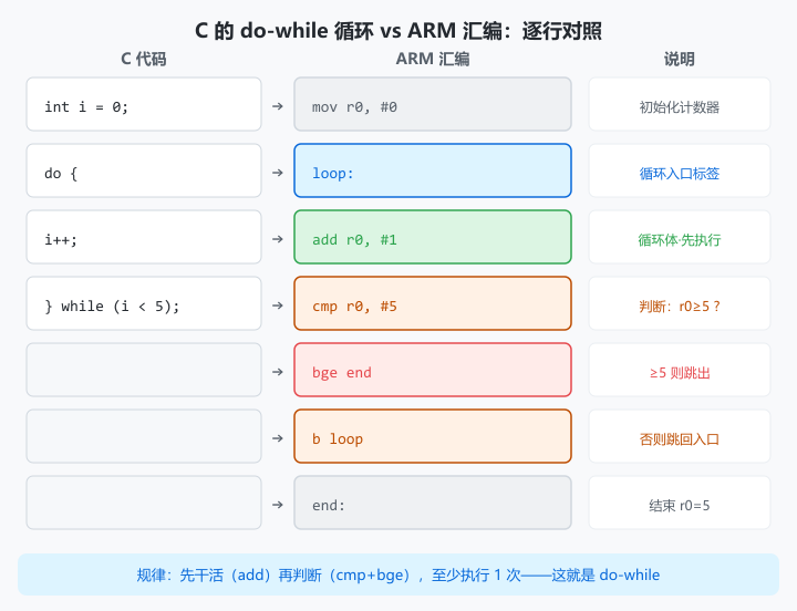 循环封面:C 的 do-while 循环与 ARM 汇编逐行对照